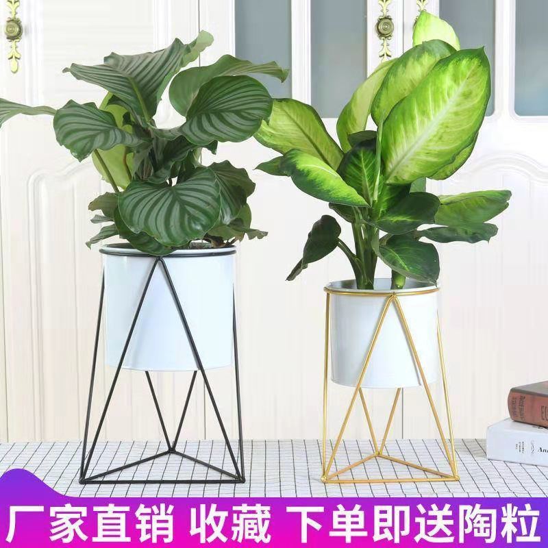 厂家直销北欧风铁艺花盆花筒几何简约创意室内阳台多肉绿植花架子