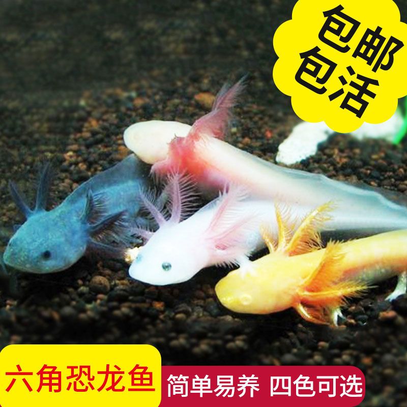 图书其它男士报价_参数_图片_视频_怎么样_问答-苏宁易购