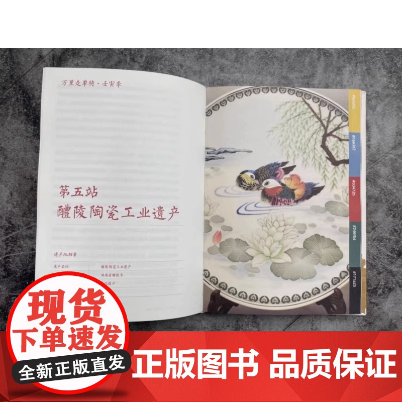 万里走单骑:壬寅季 单霁翔 中华文化遗产古色之美记忆中国古代物质文化史世界文明史大美中国历史文化书籍BK高清大图