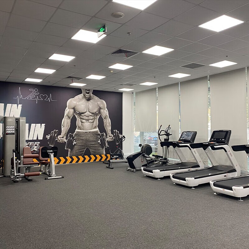 奋战者 FANATICS坐姿推胸训练器健身房俱乐部商用健身器材胸部训练机 FS-9923坐姿推胸训练器高清大图