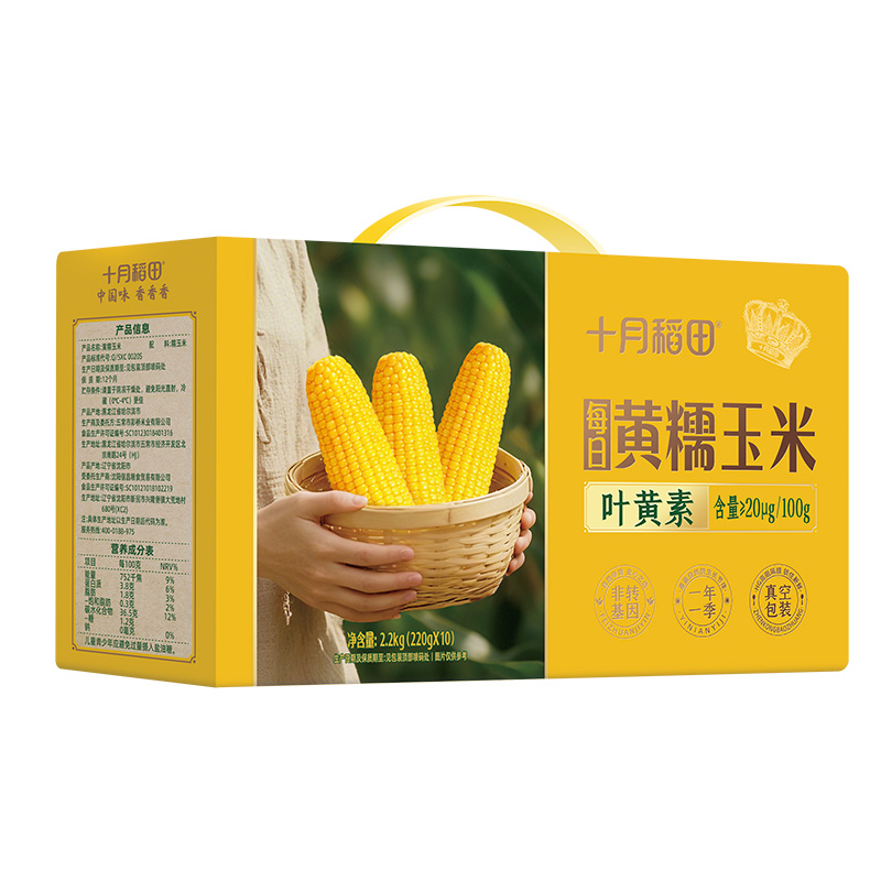 十月稻田鲜食黄糯玉米4.4斤(220g*10根) 整箱东北甜糯新鲜嫩玉米棒 低脂礼盒 早餐杂粮
