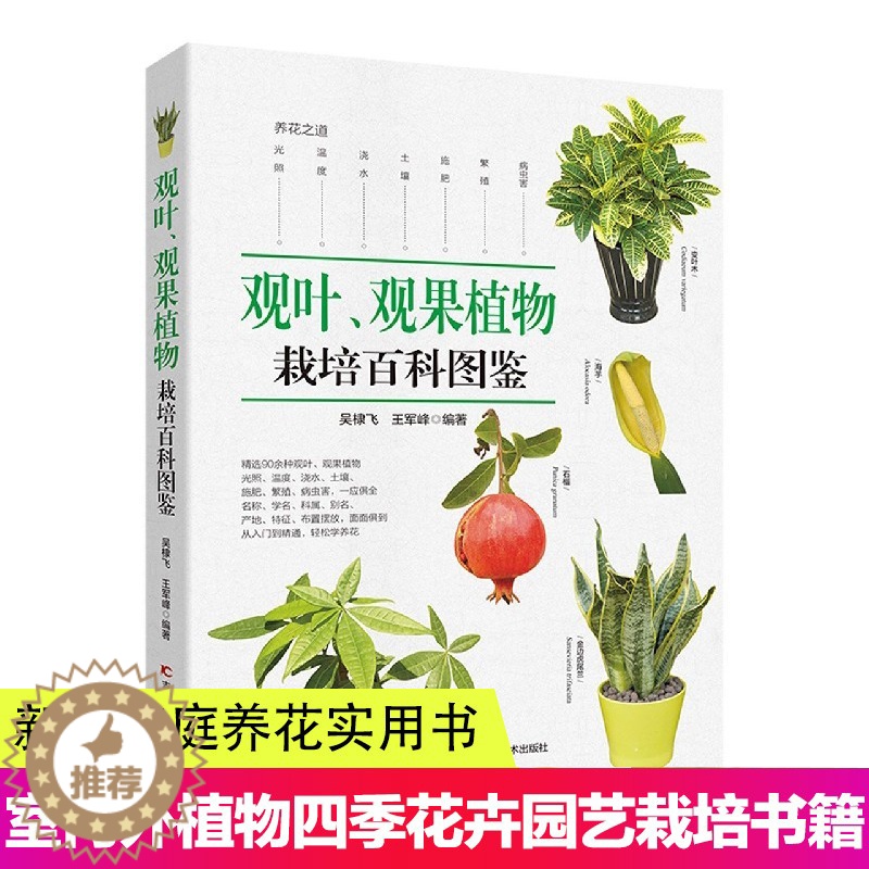 【醉染正版】观叶 观果植物栽培百科图鉴 吴棣飞 等编 新手家庭养花实用书 养花技术室内外植物种花大全四季花卉园艺种殖栽培