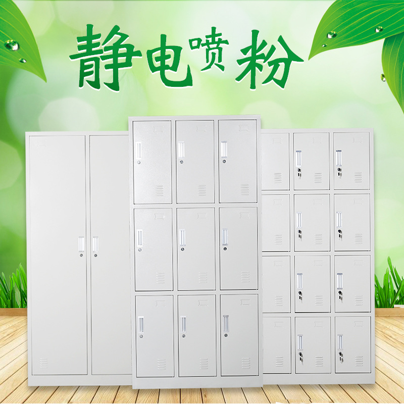 戴劲更衣柜员工宿舍储物柜多门鞋柜钢制换衣柜碗柜常规款 二十四门高清大图
