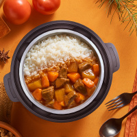 海底捞 红烧风味牛肉方便米饭320g+咖喱风味牛肉方便米饭320g