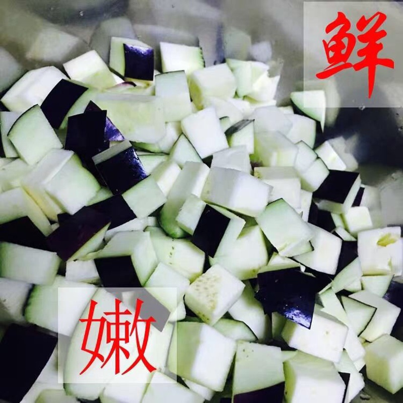 圆茄子新鲜蔬菜农产品 圆茄子 净重4.5-5斤