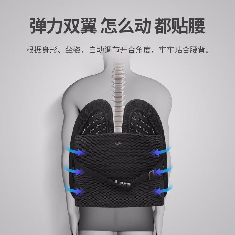 佳奥 人体工学腰垫 190602J0800MB1