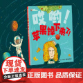哎哟苹果掉下来了适合3-6岁幼儿关于物理认知绘本牛顿故事趣味探索科学启蒙物理认知牛顿故事重力实验全新正版绘本电子工业出关