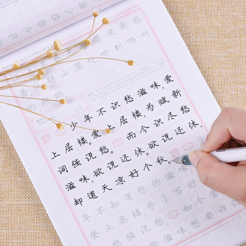 [庞中华楷书]初学者4本套(楷书入门3本+7000字) 小学通用 [正版]庞中华字帖硬笔楷书钢笔临摹书法套装唐诗宋词成年