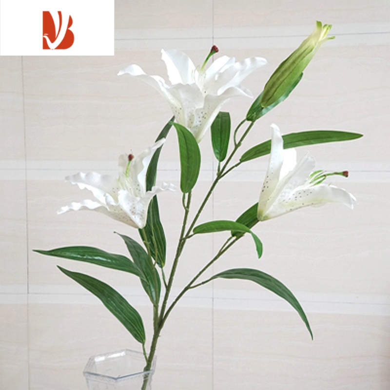 百合花鲜花支 参数规格