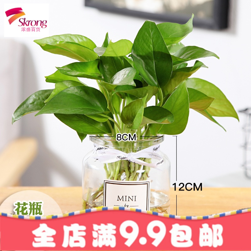 创意玻璃花瓶欧式简约水养植物绿萝器皿客厅摆件 鲜花水培干花瓶