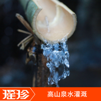 【中华特色】江华馆 瑶珍香米5kg网红饭煲仔饭南方晚稻籼米新鲜好吃香软