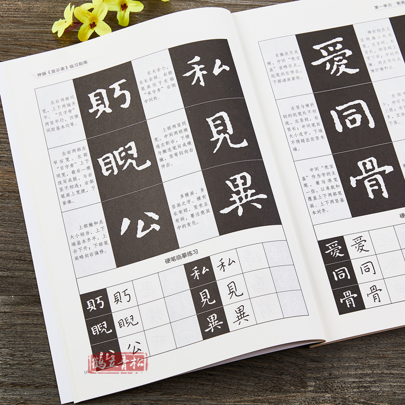[正版]中国历代经典法帖毛笔与硬笔临习指南系列钟繇《宣示表》楷书临习指南小楷钢笔书法毛笔字帖高清大图