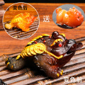 变色茶宠摆件精品可养茶台茶桌用品貔貅茶玩招财金蟾茶具配件茶道 变色金蟾-红色+貔貅宝宝