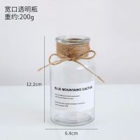 北欧简约电镀变色玻璃插花花瓶摆件房间客厅装饰品水培假花小花瓶 透明宽口小花瓶[瓶高12.2cm]
