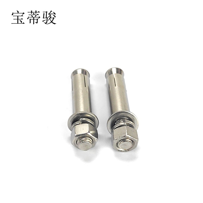 宝蒂骏 膨胀螺栓 M10*100 单位:100个/包高清大图