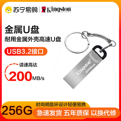 金士顿 U盘 DTKN 256GB （DTKN/256GB）