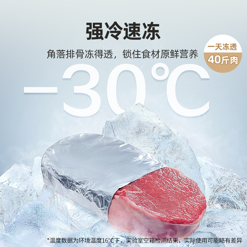 星星(XINGX)200升商用家用单温单箱低霜冰柜 冷藏冷冻转换冷柜 顶开门冰箱 断电保护BD/BC-200E高清大图