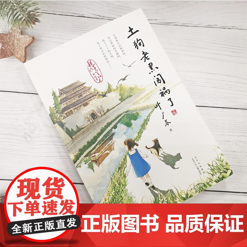 土狗老黑闯祸了 叶广芩著北京少年儿童出版社耗子丫丫的故事第三部广东暑假读一本好书小学生二年级三年级四年级课外书阅读高清大图