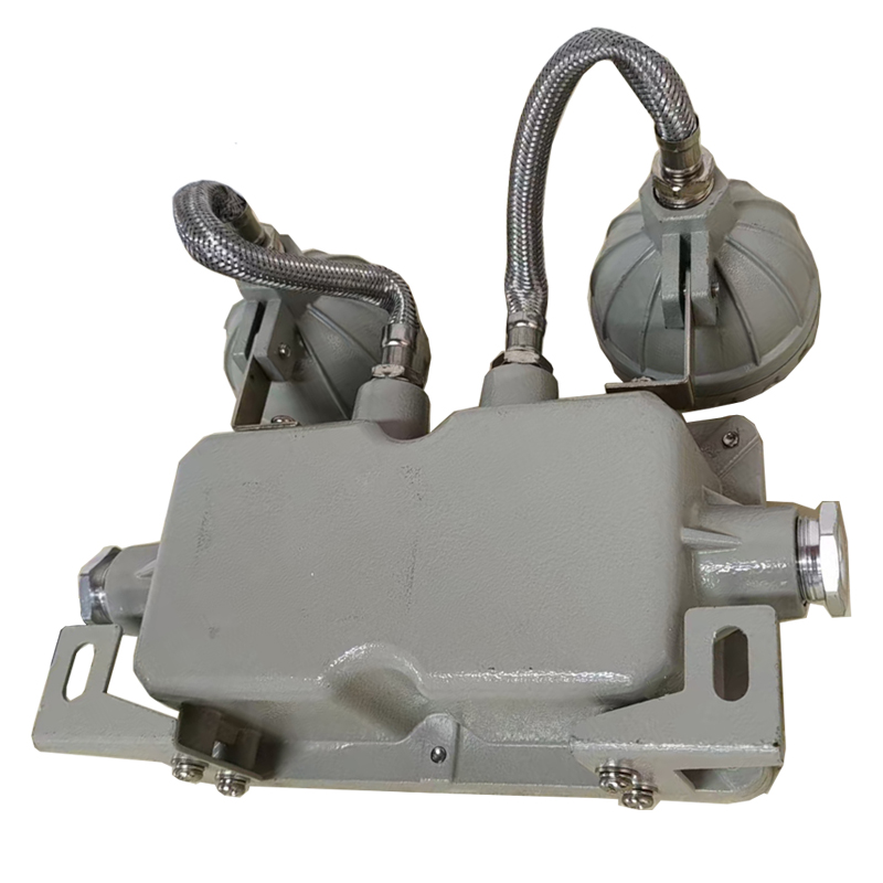 光大特照 EB-ZM-ACZ-6WF15EX DC36V 6W IP67 120min LED消防应急照明灯具 盏 灰色高清大图