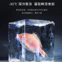 卡萨帝(Casarte)520升 多门冰箱 零距离嵌入 细胞级养鲜 F+智慧格局 BCD-520WLCFPM4G5U1