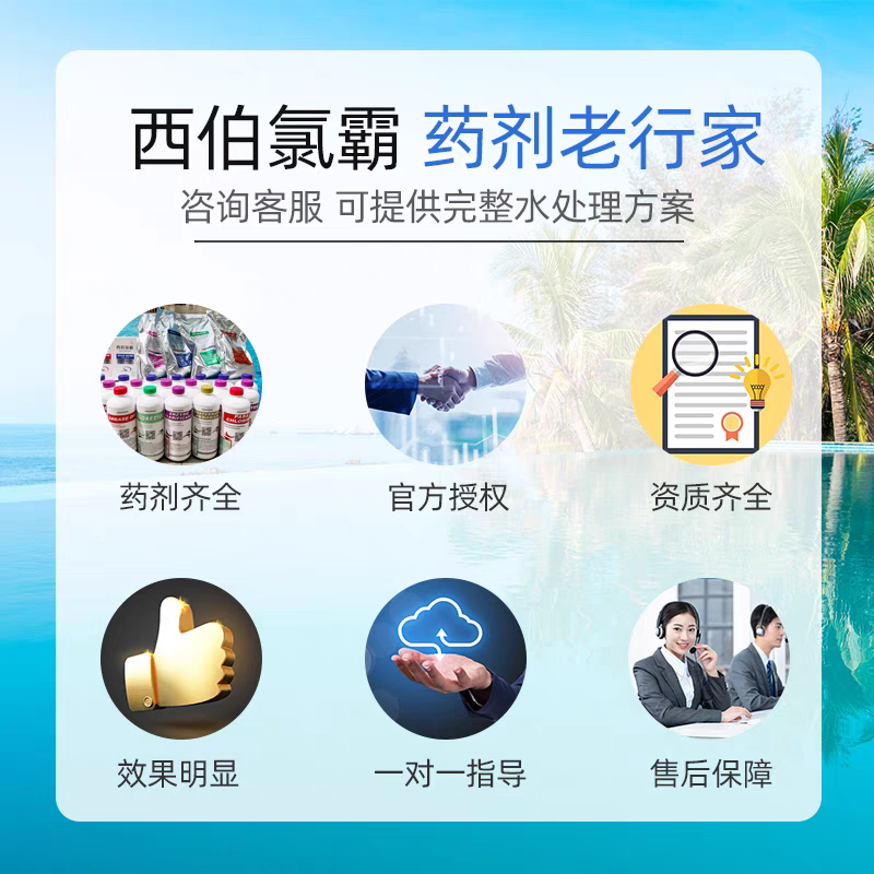 西伯氯霸 PH降低剂/PH降低剂/水平衡降低剂 1kg/瓶