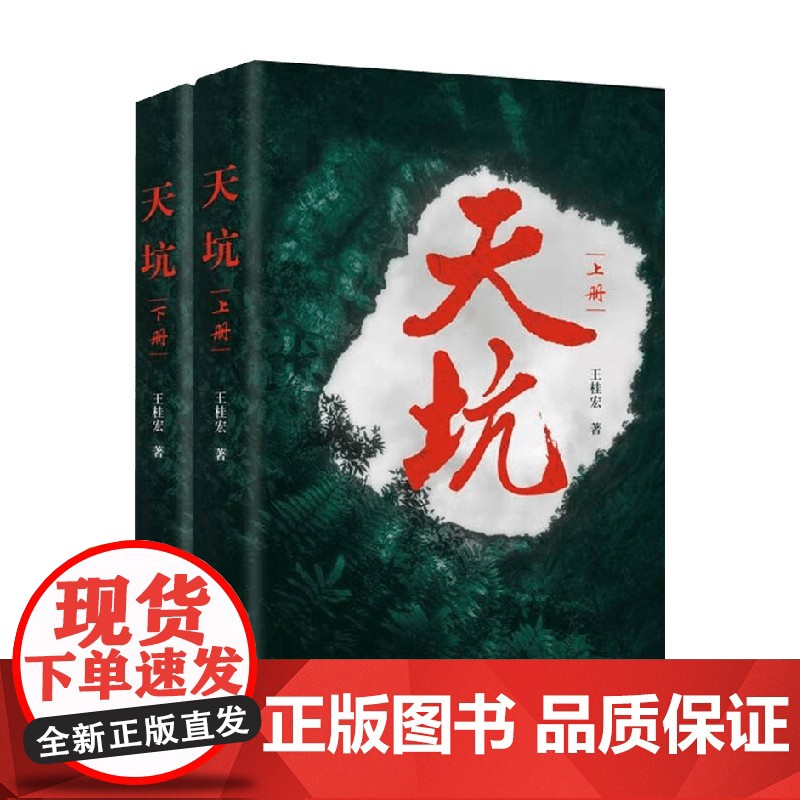 天坑 王桂宏 著 中国当代小说高清大图