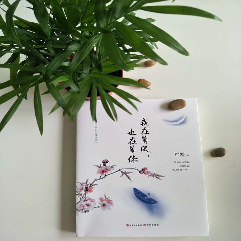 [正版]我在等风 也在等你书籍文学经典散文随笔小说作品集青春文学书籍书籍女性书籍值得女人认真读一读民国爱情故事 cys