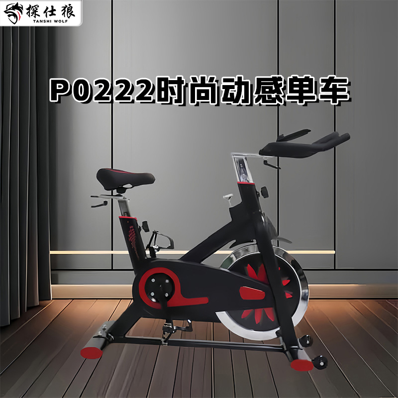 探仕狼 动感单车家用健身车健身单车健身运动器材 P0222