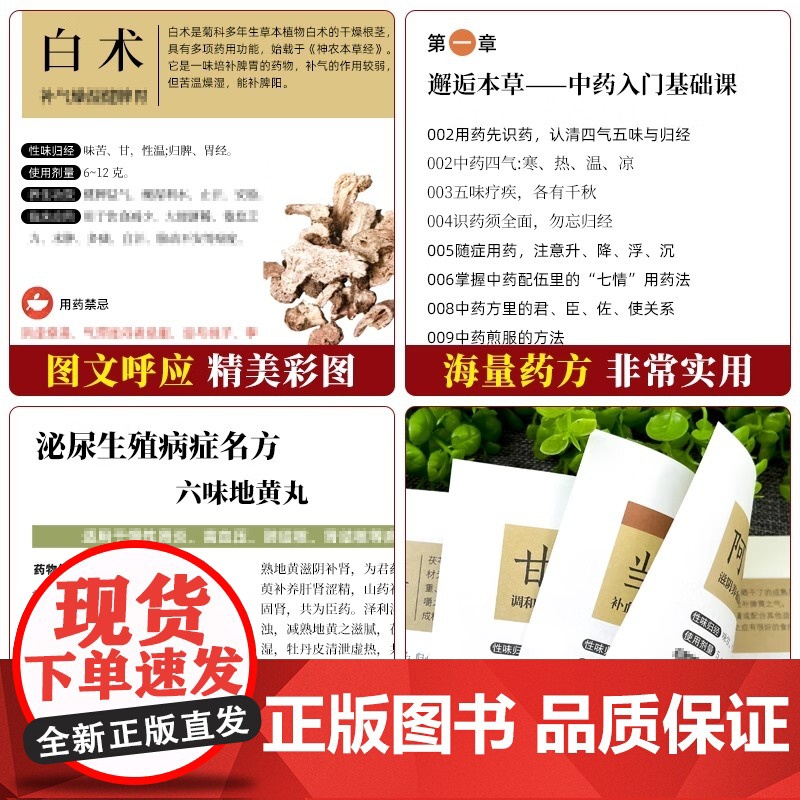正版 活学活用中医特效处方大全 经典中医养生健康调养补血补气书籍典启蒙养生方剂老偏方中医调理书籍秘方临床医学类书高清大图