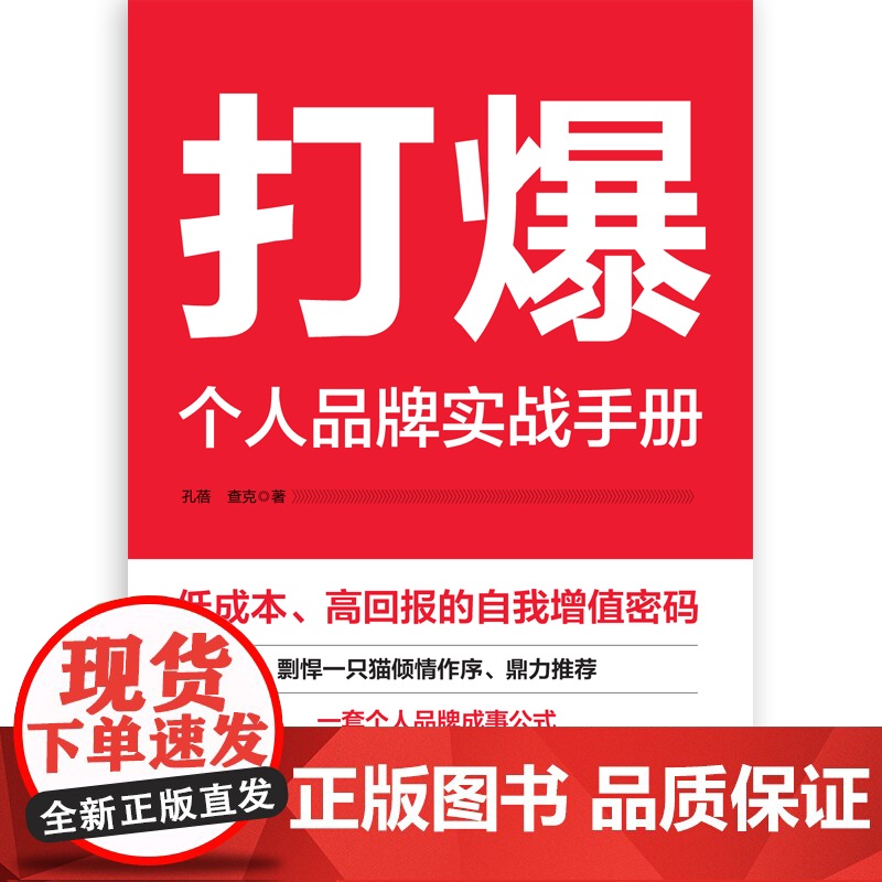 打爆 : 个人品牌实战手册