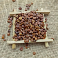 酸枣仁500g酸枣仁茶中 安神助眠茶 可磨枣仁粉非同仁堂