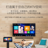 奔腾(BNTN)家庭ktv点歌机 触摸屏一体机 家庭影院卡拉ok双系统点唱机 2T硬盘 19.5英寸 音王点歌机