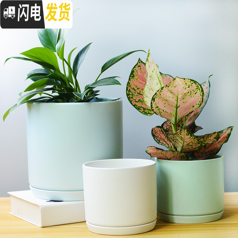 三维工匠白色简约花盆陶瓷大号特大号带托盘吊兰绿萝多肉花盆 梯形亮光白 中等花盆容器高清大图