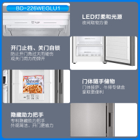 海尔(Haier)立式无霜冰柜一级能效电脑温控全温区冷藏冷冻保鲜-40度深冷速冻立式冷冻柜BD-226WEGLU1