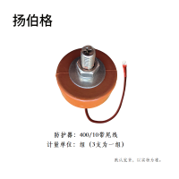 扬伯格 防护器 400/10带尾线 组