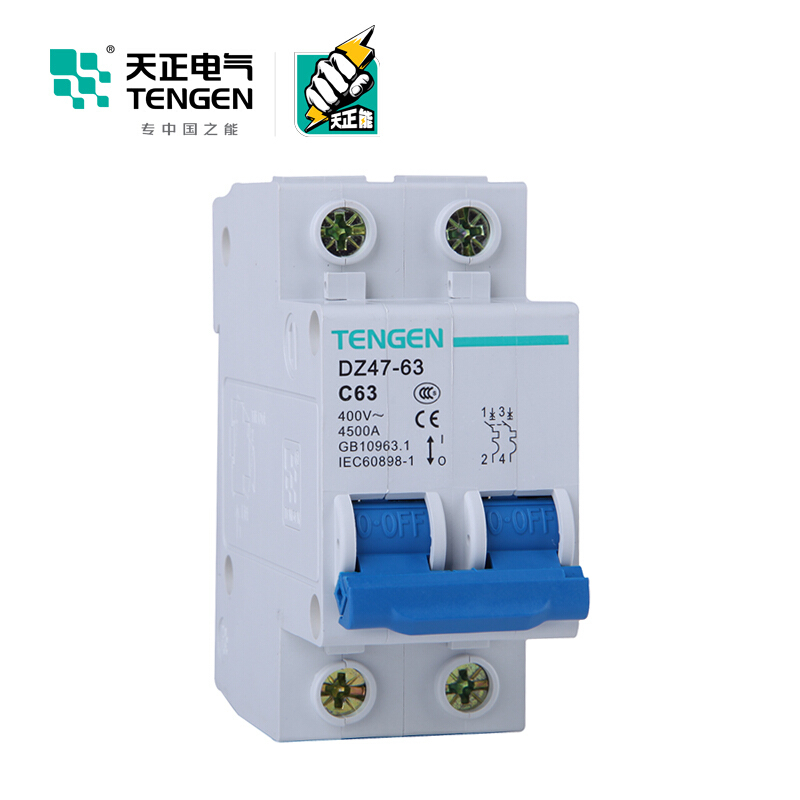 天正电气 空气开关 DZ47-63 2P C 63A 4.5KA 01060020274 微型断路器