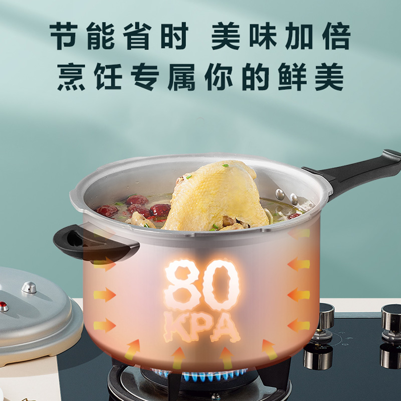 爱仕达(ASD) 锅具高压锅 YL22S2WG 22CM六保险铝制铝合金燃气灶明火适用压力锅 5L高清大图