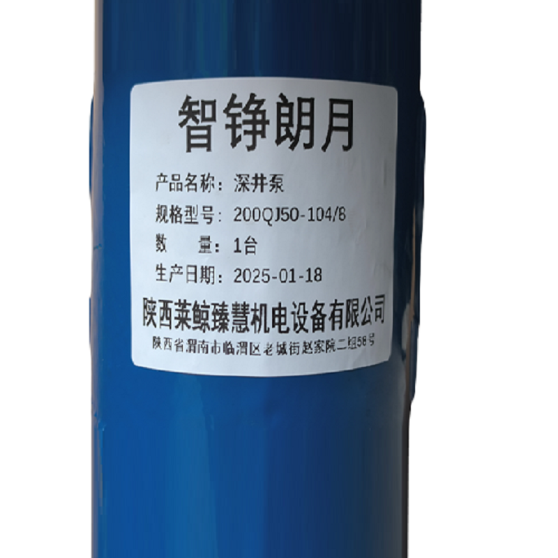智铮朗月 深井泵 200QJ50-104/8 台高清大图