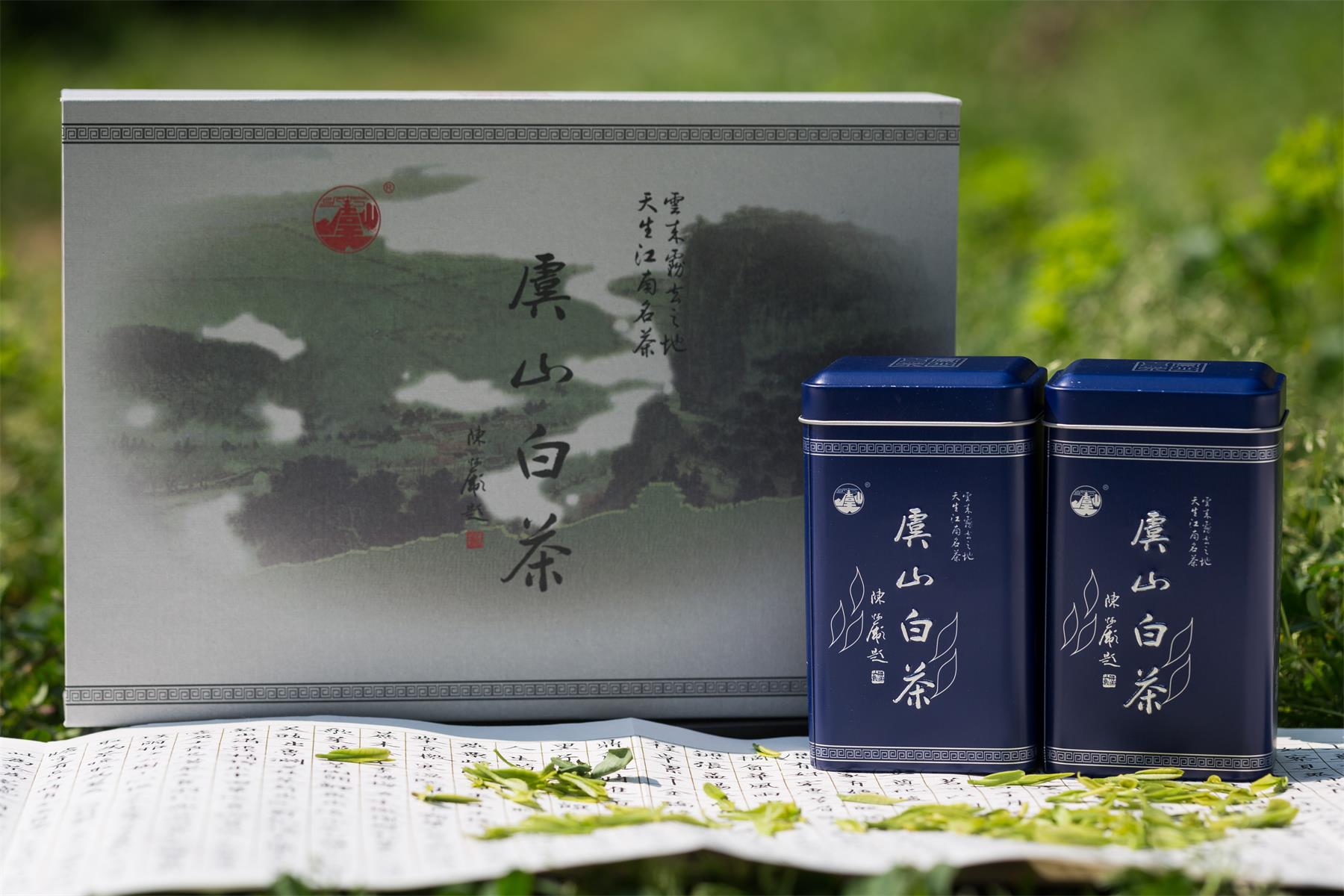 虞山绿茶白茶特级蓝罐装100克礼盒参数