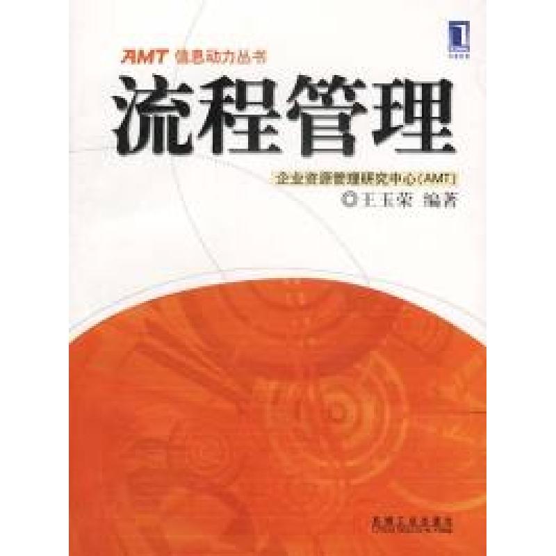 正版新书]AMT信息动力丛书:流程管理王玉荣9787111101055高清大图