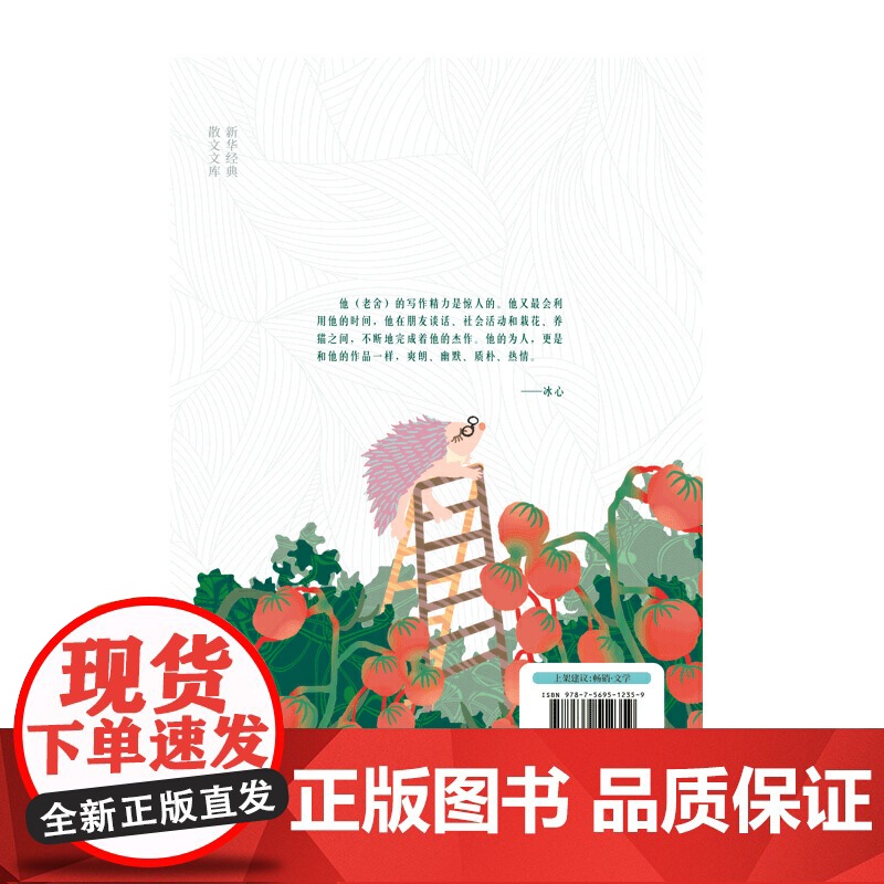 我爱这可喜的寂寞(老舍散文经典精装,精编精校,汪曾祺、王朔推崇的语言大家)高清大图