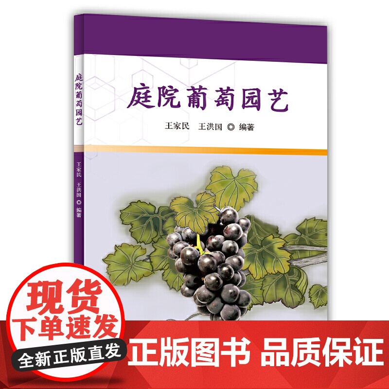 庭院葡萄园艺高清大图