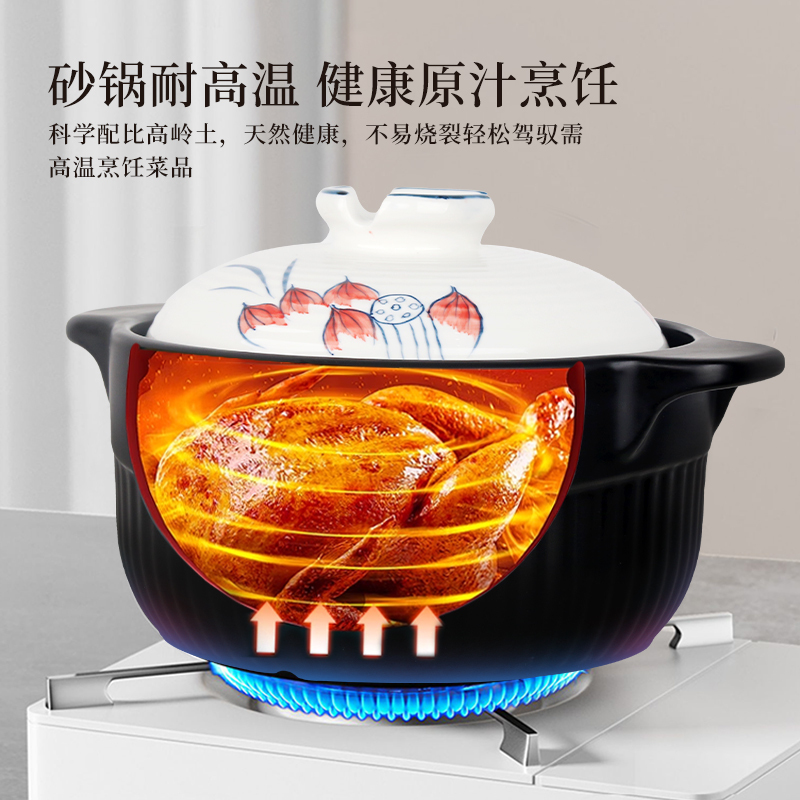 法迪欧(Fardior)砂锅 宽口炖锅耐高温不开裂 煲汤燃气灶陶瓷煲4.5升FCP-GH45R