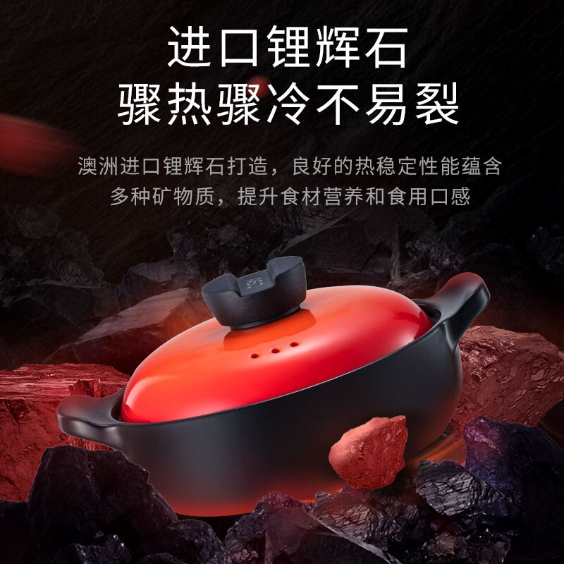 爱仕达-甄陶Ⅲ系列焖煲·焰橙RXC15B3Q高清大图