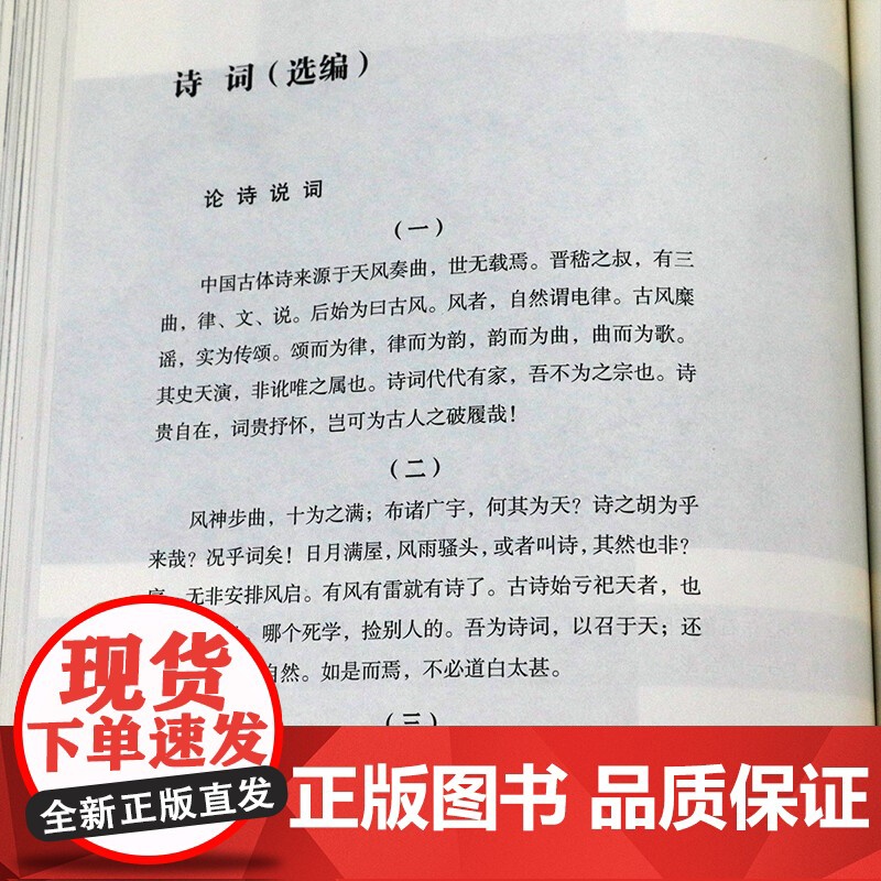 [8成新]谈艺录 石鲁眼里的艺术文章札记杂文诗词艺术创作谈话发言名家画论中国绘画发展史书籍 陕西人民美术出版社高清大图