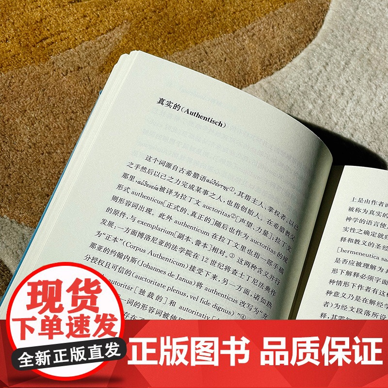诠释学 里特尔 六点辞条系列 诠释学与诠释之学研究系列丛书 精装 华东师范大学出版社高清大图
