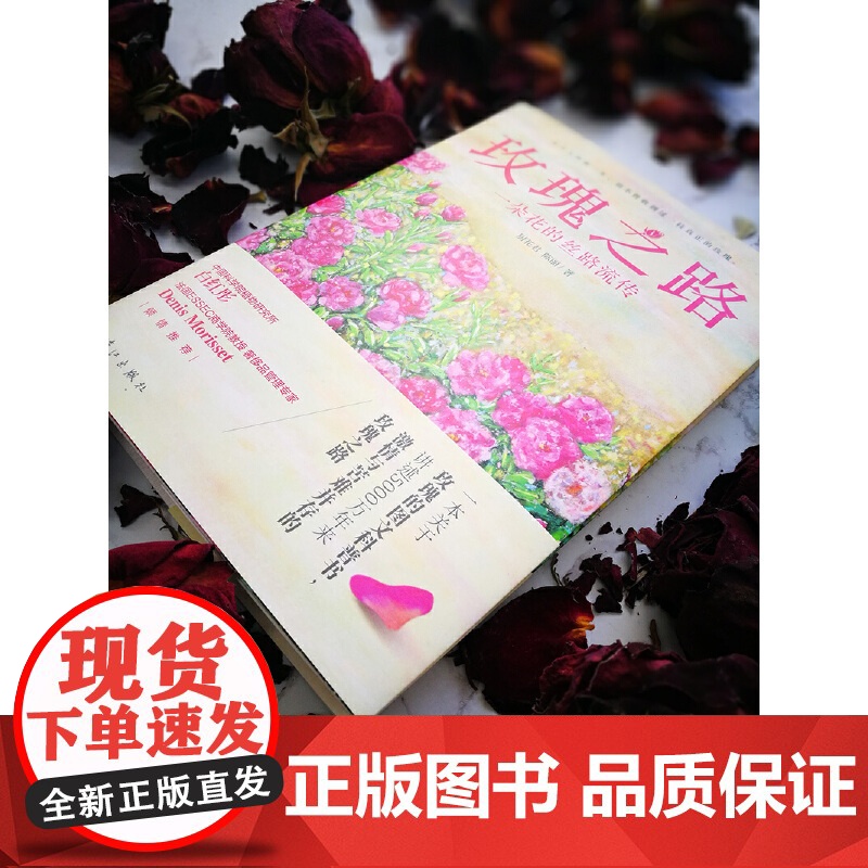 玫瑰之路:一朵花的丝路流传高清大图