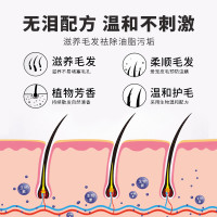 HWKW四效合一宠物沐浴露 抑菌除螨猫咪香波洗澡深层清洁柔顺毛发