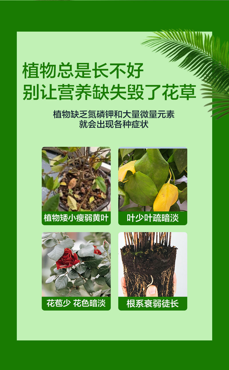[补贴10%]浓缩植物营养液花肥通用型家用绿植盆栽绿萝富贵竹发财树肥料绿箩高清大图