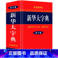【正版】大字典 双色缩印本 汉语字典初中高中大学小学师生常用语文字典大全工具书插图字体书法知识实用必背备考现代汉小法师